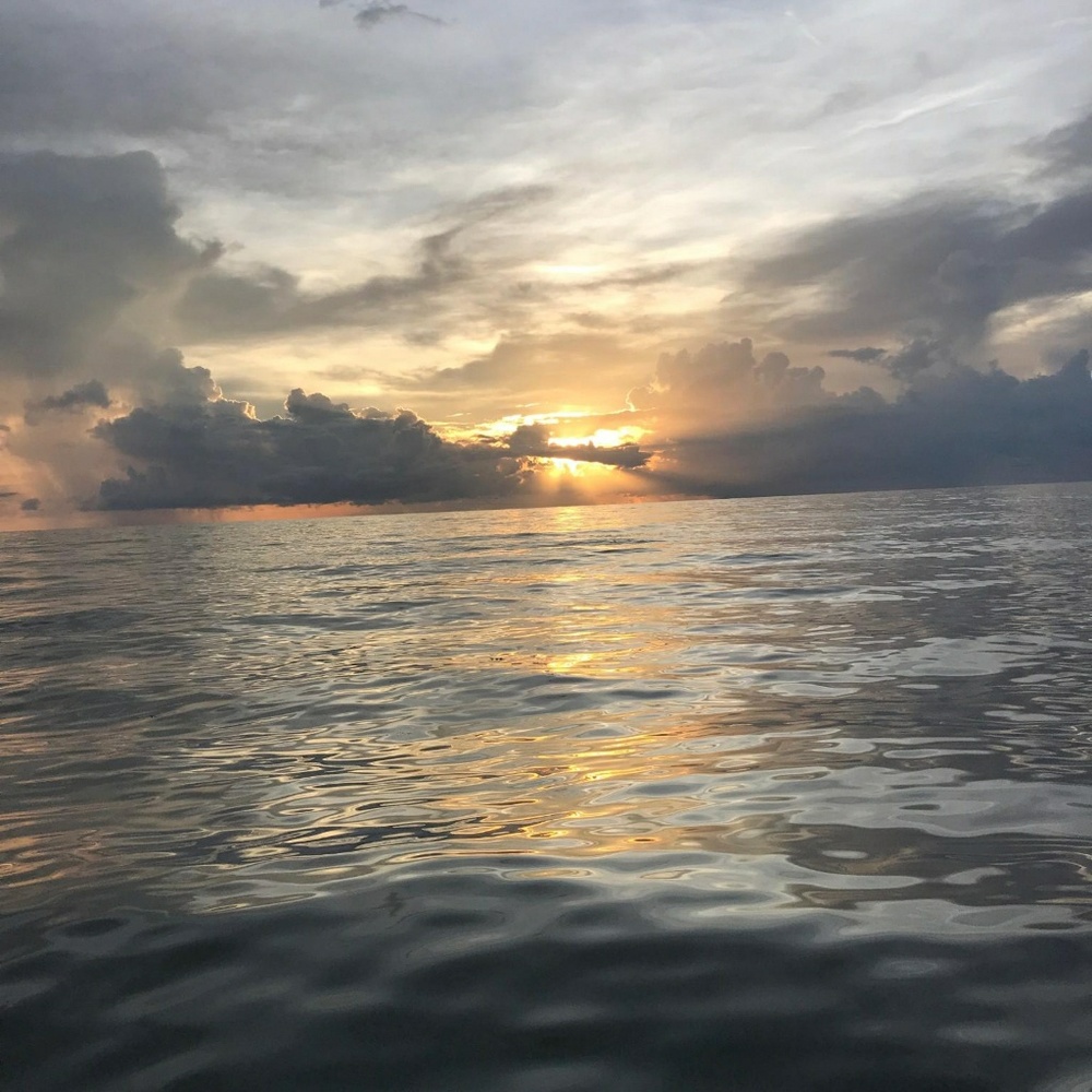 Meet your Posher, Rynn